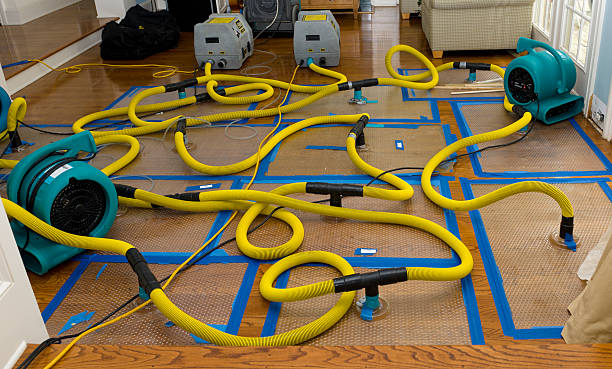 Professional Water Extraction technician working in Metamora, OH
